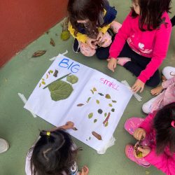 Imagem do WhatsApp de 2025-06-05 à(s) 10.53.35_28c0b2b9